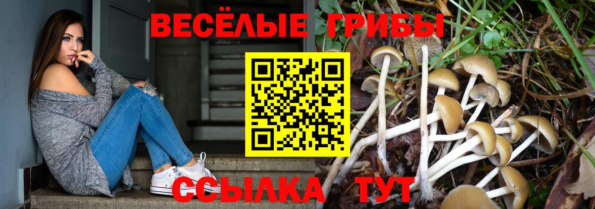 Галлюциногенные грибы GOLDEN TEACHER  Вход с VPN  Амурск  Псилоцибиновые грибы мухоморы 